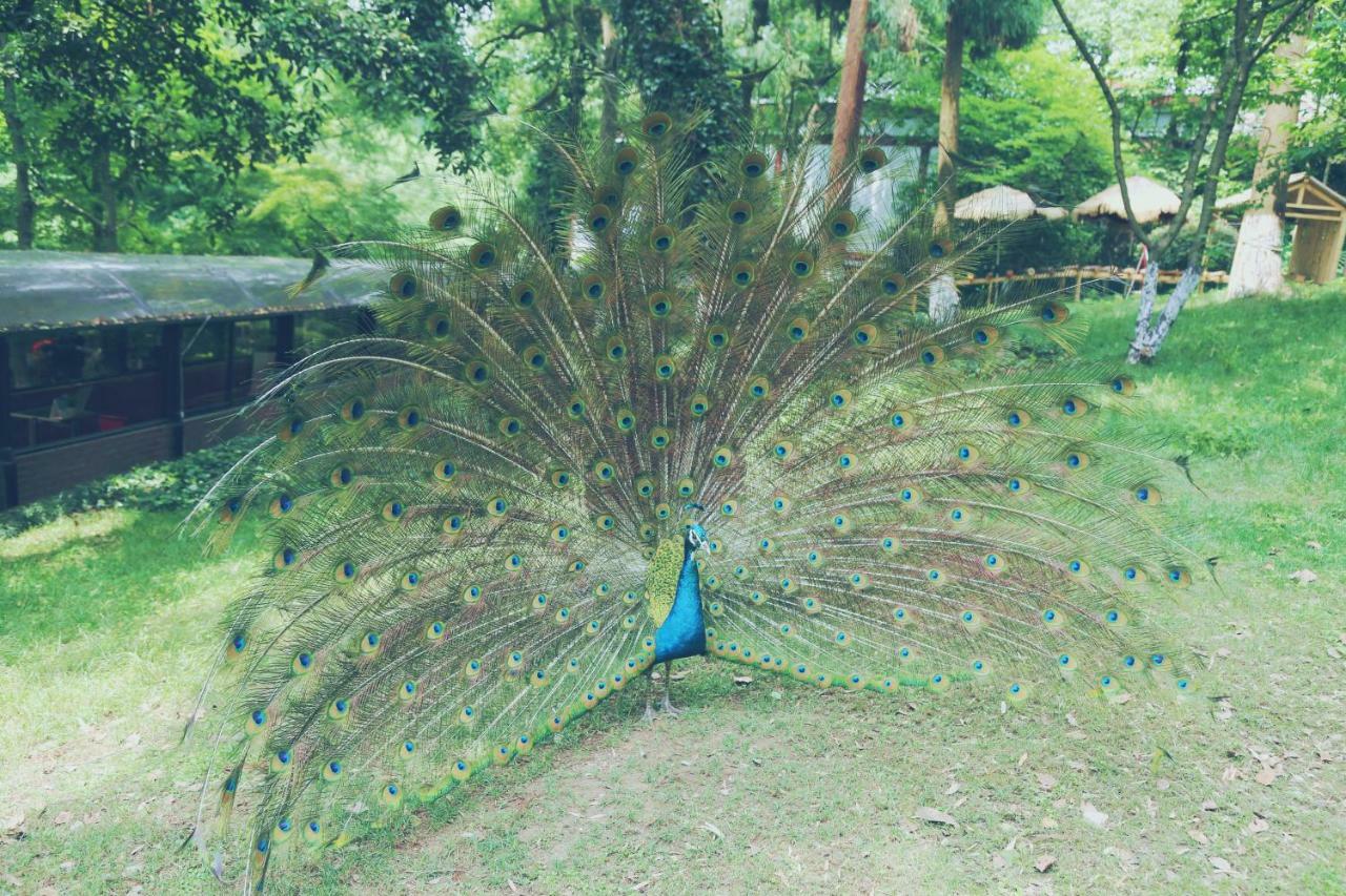 Shangri-La Hangzhou Hotel Kültér fotó